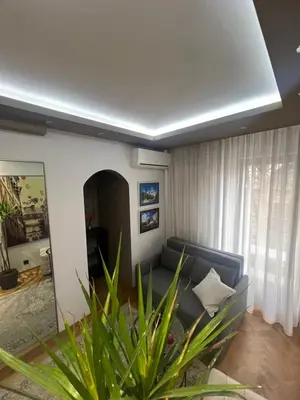 a living room with a couch and a plant at Apartment D-22 in Belgrade