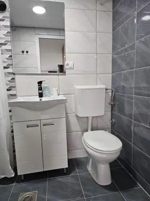 a bathroom with a toilet and a sink and a mirror at Studio Dana in Arandjelovac