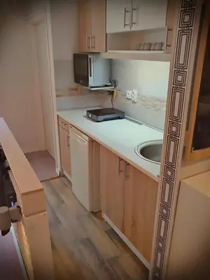 a small kitchen with a sink and a microwave at Banshill Apartment in Belgrade