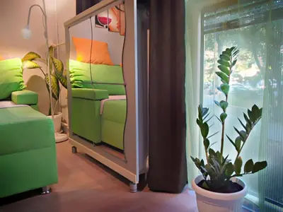 a room with a mirror and a couch and a plant at Banshill Apartment in Belgrade