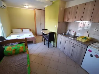 a small room with a bed and a kitchen at Apartments Popovic in Belgrade