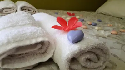 a towel with a flower on top of it on a bed at Apartments Popovic in Belgrade
