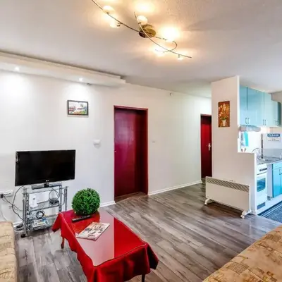 Central Monument Apartment Bojkovic