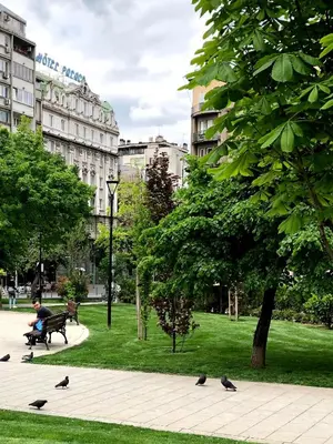a person sitting on a bench in a park with pigeons at Cozy Central Studio - Steps from Knez Mihailova in Belgrade