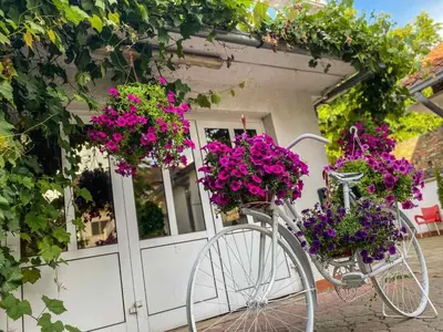 a bike parked in front of a door with flowers at Apartments Villa White House in Pančevo