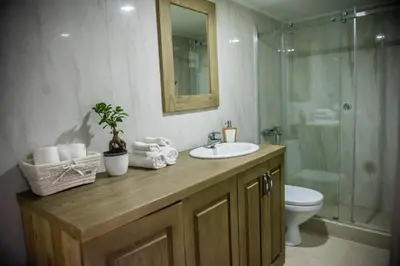 a bathroom with a sink and a toilet and a shower at Vila Mila in Arandjelovac