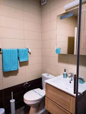a bathroom with a toilet and a sink and a mirror at Flat Kosutnjak 9 in Belgrade