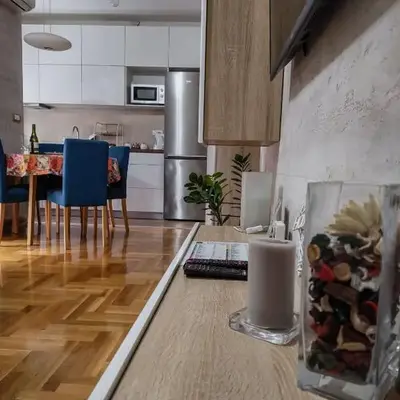 Flat Kosutnjak 9