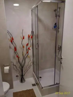 a bathroom with a shower with red flowers painted on the wall at Apartment Frida in Belgrade