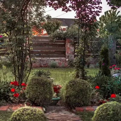Aerport - Natura Apartment