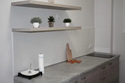 a kitchen with a counter top with plants on it at Rooftop Apartment Belgrade in Belgrade