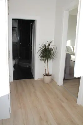 a hallway with a potted plant in a room at Rooftop Apartment Belgrade in Belgrade