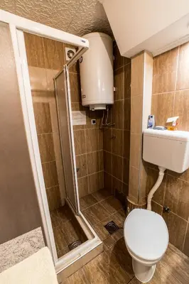 a bathroom with a shower and a toilet at Apartman Stankovic in Arandjelovac