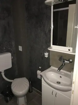 a bathroom with a toilet and a sink and a mirror at Five Apartments in Inđija