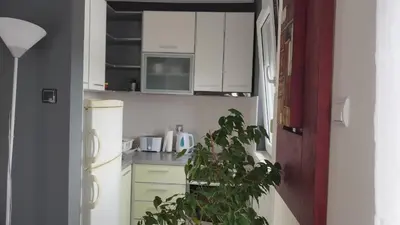 a kitchen with white cabinets and a potted plant at New Residence in Belgrade