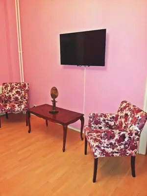 a living room with two chairs and a tv on a wall at Bel Lion Serviced Suites in Belgrade