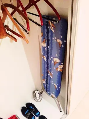 a closet with a blue curtain with animals on it at Bel Lion Serviced Suites in Belgrade