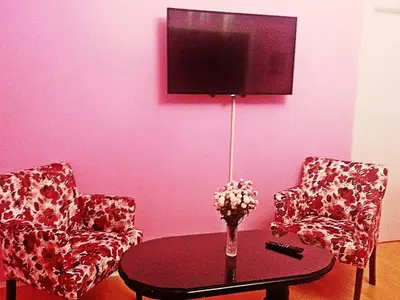 a room with two chairs and a table and a tv at Bel Lion Serviced Suites in Belgrade