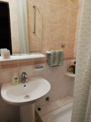 a bathroom with a sink and a shower at Classic Style Apartment in Belgrade