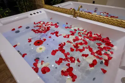 a bath tub filled with red poppies at Central Business Apartments Jacuzzi in Belgrade