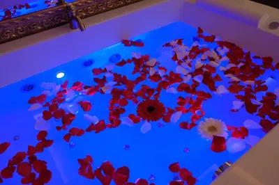 a bunch of red flowers on a blue ceiling at Central Business Apartments Jacuzzi in Belgrade