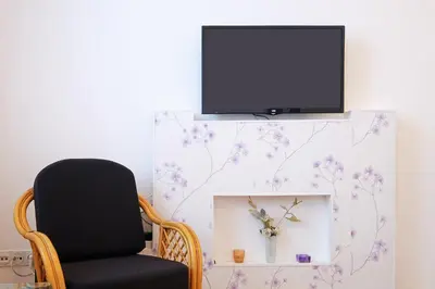 a chair and a television on a wall with flowers at Apartment Aska in Belgrade