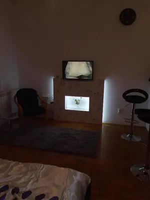 a living room with a television and a fireplace at Apartment Aska in Belgrade