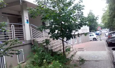 a tree is growing in front of a building at Apartment Aska in Belgrade