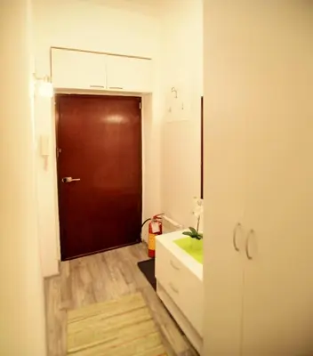 a bathroom with a brown door and a sink at Kate Apartment Belgrade in Belgrade