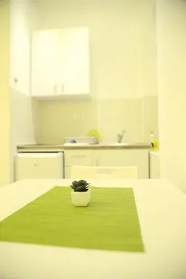 a kitchen with a table with a plant on it at Kate Apartment Belgrade in Belgrade