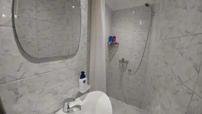 a bathroom with a shower and a toilet and a sink at Dafni Apartment in Belgrade