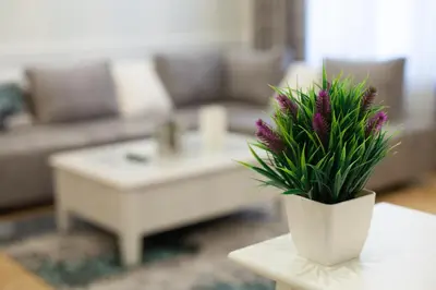 a white vase with a plant on a table in a living room at Apartment Passage in Belgrade
