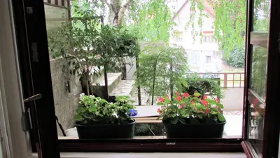 three potted plants sitting on a window sill at Apartment B&S in Belgrade