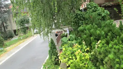 an empty road with green trees and plants at Apartment B&S in Belgrade