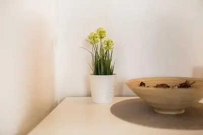 two flowers in a white vase sitting on a table at Belgrade Sky Apartment in Belgrade