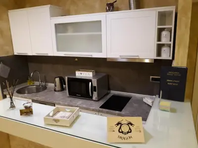 a kitchen with a counter top with a microwave at Apartman Centar Bg in Belgrade