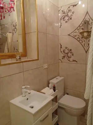a bathroom with a sink and a toilet and a mirror at Apartment Bourgeois in Belgrade