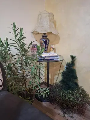 a table with a lamp on it next to plants at Jezero in Arandjelovac