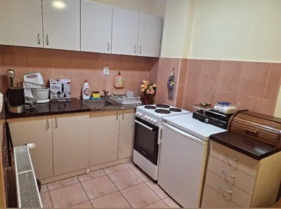 a kitchen with a stove and a counter top at Jezero in Arandjelovac