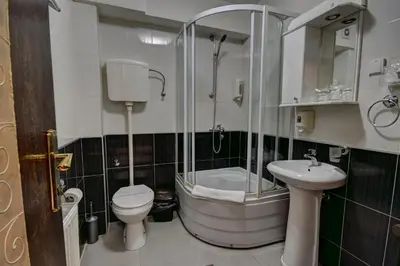a bathroom with a shower toilet and a sink at Vila Hit in Ruma