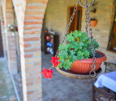 a hanging flower pot with red and green flowers in it at etno dom 