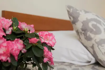a vase filled with pink flowers next to a pillow at Accommodation Tara in Belgrade