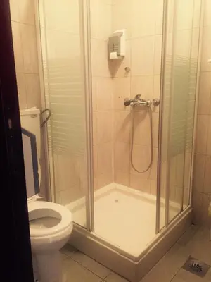 a bathroom with a shower and a toilet at Accommodation Tara in Belgrade