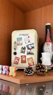 a suitcase sitting on a shelf with magnets on it at Garsonjera Zvezdara in Belgrade
