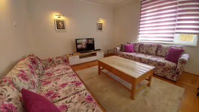 a living room with a couch and a tv at Apartment Harmonija in Belgrade