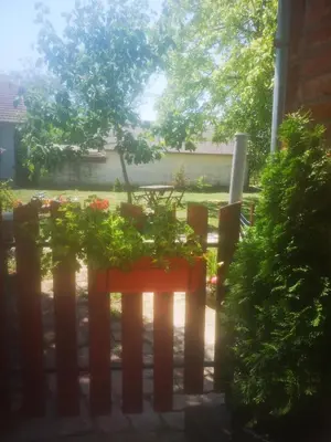 a garden with a fence and a table with plants at CycloCamp & Hostel in Skorenovac