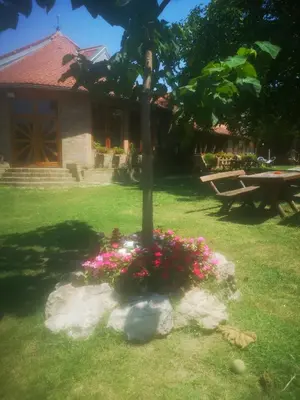 a tree in a yard with flowers in front of a house at CycloCamp & Hostel in Skorenovac