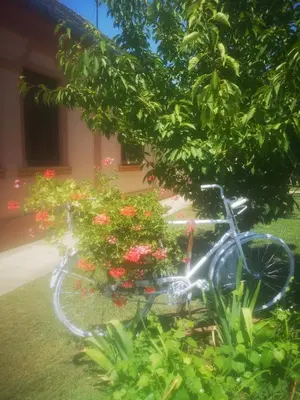 a bike parked next to a tree with flowers at CycloCamp & Hostel in Skorenovac