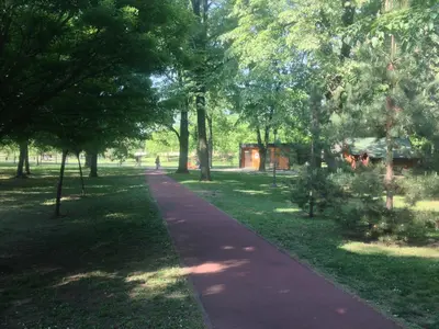 a walking path in a park with trees at Markoni in Pančevo