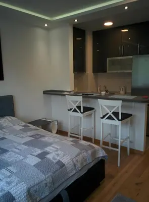 a bedroom with a bed and a kitchen with a counter at Zaza apartman in Belgrade